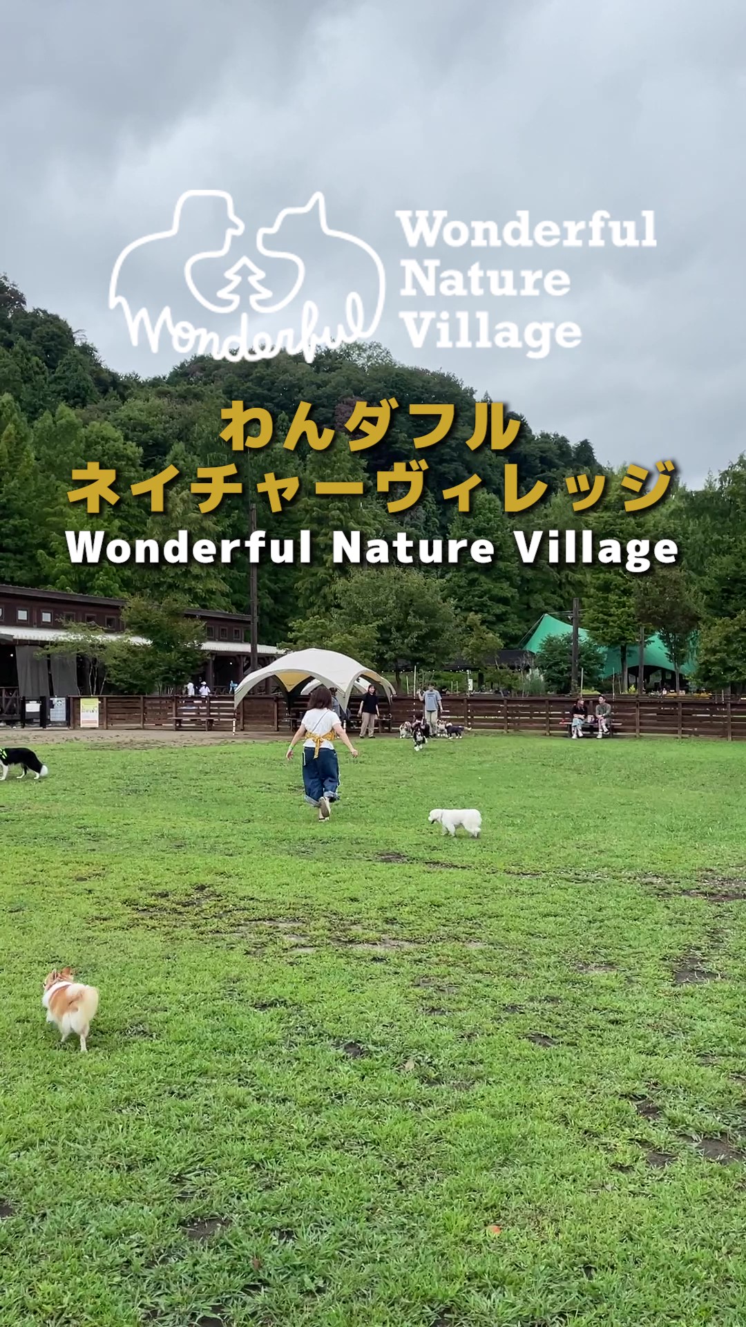 わん ダフル ネイチャー ヴィレッジ