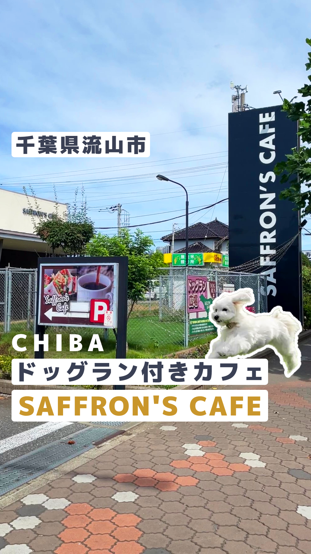 サフランカフェ SAFFRON’S CAFE