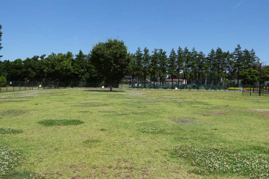 ふなばしアンデルセン公園ドッグラン