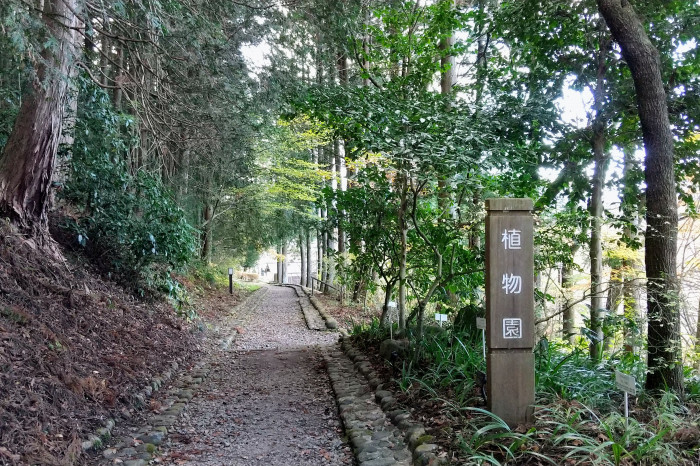 杉並木公園