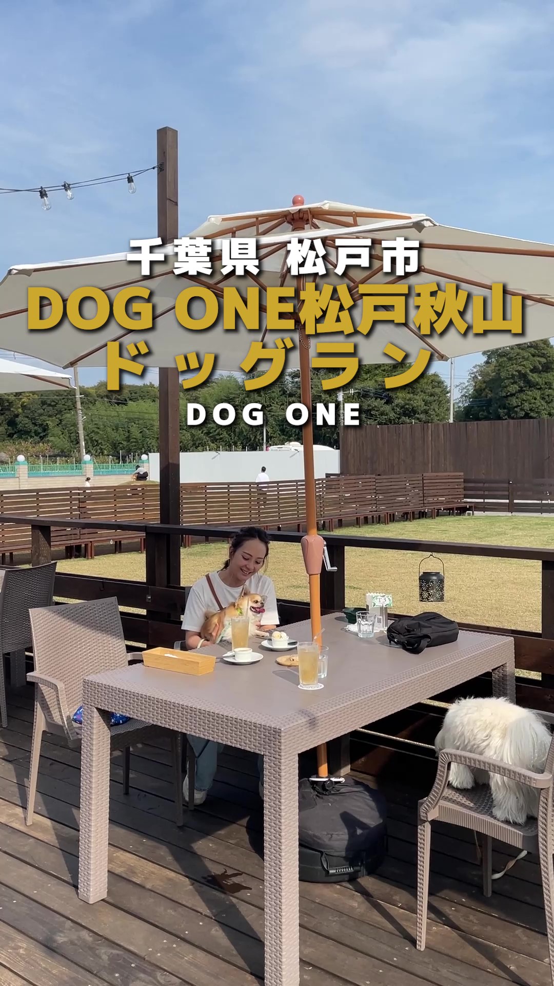 DOG ONE 松戸秋山